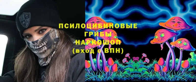 даркнет сайт  Биробиджан  Псилоцибиновые грибы Psilocybe 